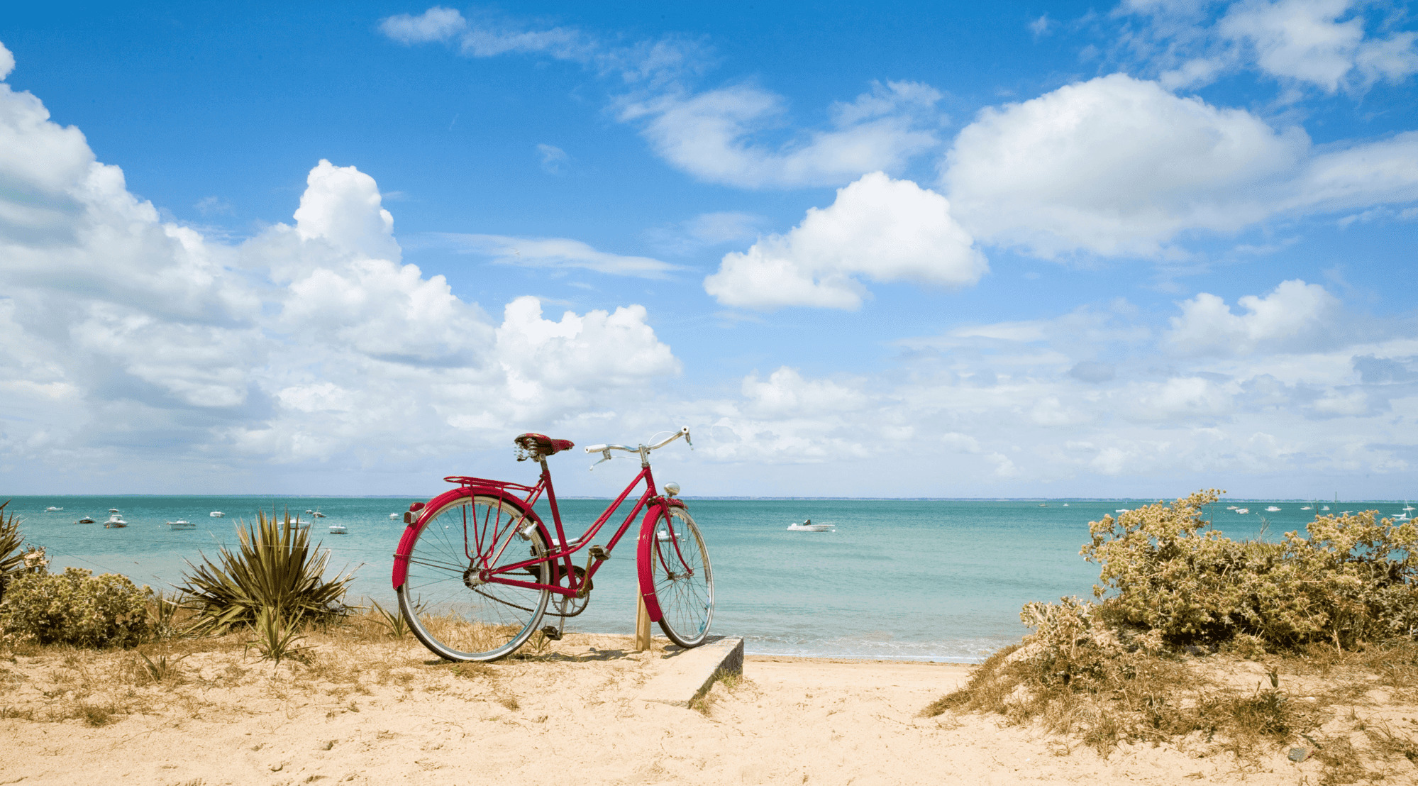 https://espace-ptl.ancv.com/appli/butterfly/data/medias_PA/PHOTOS/821637001001/821637001001I3FWhw0yMw-PHOTO Vélo Plage compressé JPEG.jpg